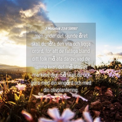 Picture 04 - 2 Mosebok 23:11 SV1917 - men under det sjunde året skall du låta den - Bible Verse Picture