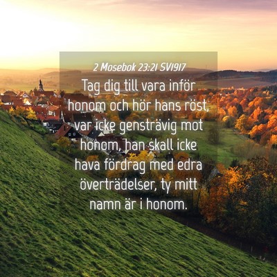 Picture 04 - 2 Mosebok 23:21 SV1917 - Tag dig till vara inför honom och hör hans - Bible Verse Picture