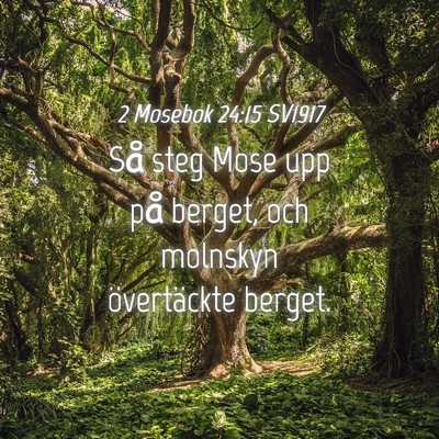 Picture 04 - 2 Mosebok 24:15 SV1917 - Så steg Mose upp på berget, och molnskyn - Bible Verse Picture