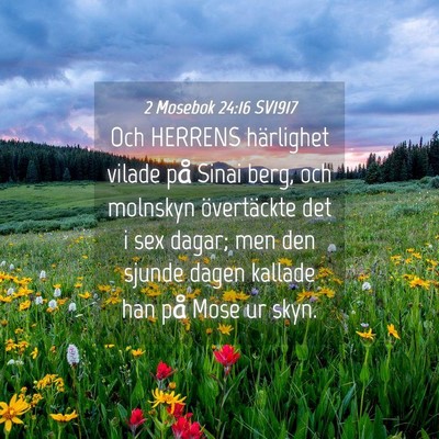 Picture 04 - 2 Mosebok 24:16 SV1917 - Och HERRENS härlighet vilade på Sinai berg, och - Bible Verse Picture