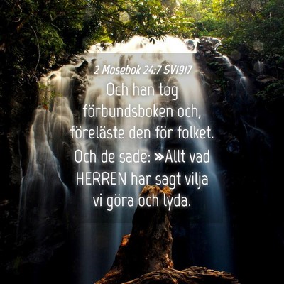 Picture 04 - 2 Mosebok 24:7 SV1917 - Och han tog förbundsboken och, föreläste den - Bible Verse Picture