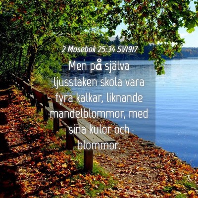 Picture 04 - 2 Mosebok 25:34 SV1917 - Men på själva ljusstaken skola vara fyra - Bible Verse Picture