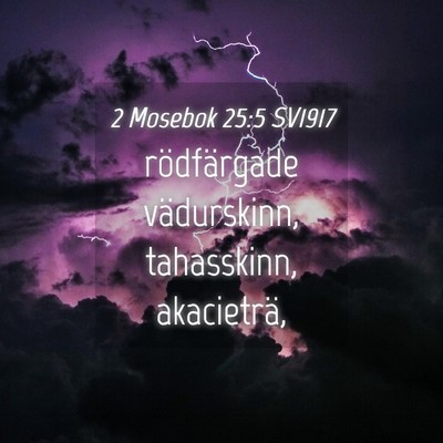 Picture 04 - 2 Mosebok 25:5 SV1917 - rödfärgade vädurskinn, tahasskinn, - Bible Verse Picture