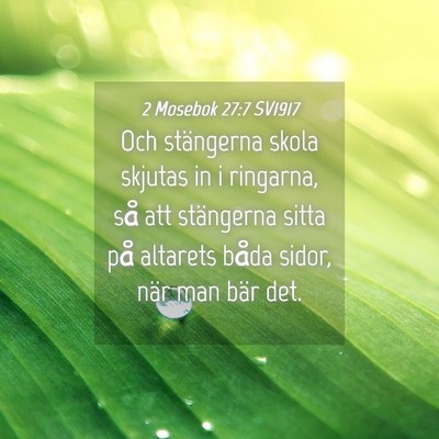 Picture 04 - 2 Mosebok 27:7 SV1917 - Och stängerna skola skjutas in i ringarna, så - Bible Verse Picture