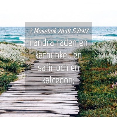 Picture 04 - 2 Mosebok 28:18 SV1917 - i andra raden en karbunkel, en safir och en - Bible Verse Picture