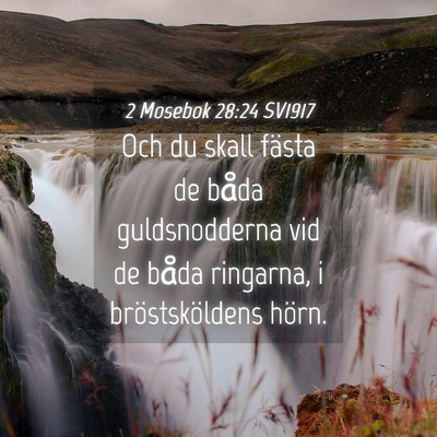 Picture 04 - 2 Mosebok 28:24 SV1917 - Och du skall fästa de båda guldsnodderna vid de - Bible Verse Picture