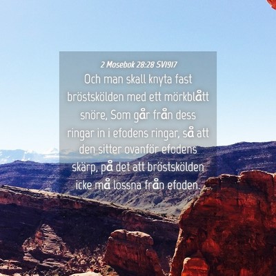 Picture 04 - 2 Mosebok 28:28 SV1917 - Och man skall knyta fast bröstskölden med ett - Bible Verse Picture