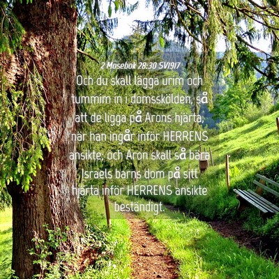 Picture 04 - 2 Mosebok 28:30 SV1917 - Och du skall lägga urim och tummim in i - Bible Verse Picture