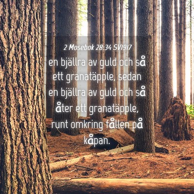 Picture 04 - 2 Mosebok 28:34 SV1917 - en bjällra av guld och så ett granatäpple, - Bible Verse Picture