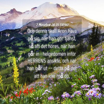 Picture 04 - 2 Mosebok 28:35 SV1917 - Och denna skall Aron hava på sig, när han gör - Bible Verse Picture