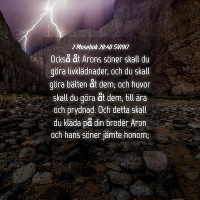 Picture 04 - 2 Mosebok 28:40 SV1917 - Också åt Arons söner skall du göra - Bible Verse Picture