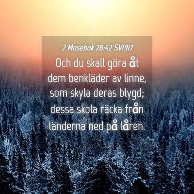 Picture 04 - 2 Mosebok 28:42 SV1917 - Och du skall göra åt dem benkläder av linne, - Bible Verse Picture