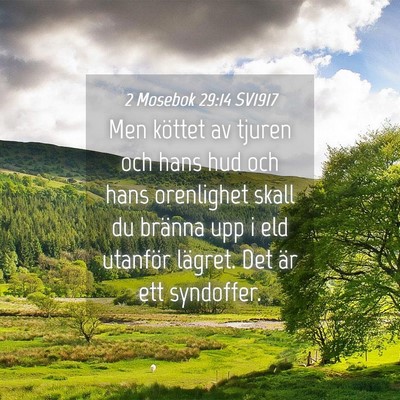 Picture 04 - 2 Mosebok 29:14 SV1917 - Men köttet av tjuren och hans hud och hans - Bible Verse Picture