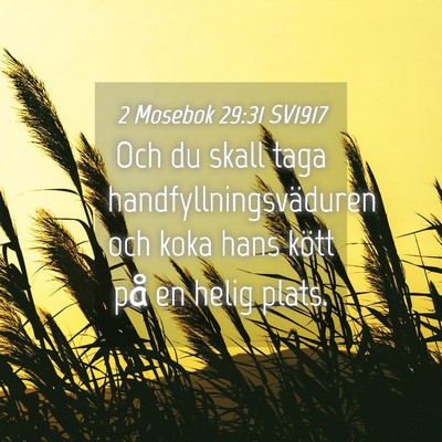 Picture 04 - 2 Mosebok 29:31 SV1917 - Och du skall taga handfyllningsväduren och koka - Bible Verse Picture