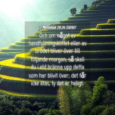 Picture 04 - 2 Mosebok 29:34 SV1917 - Och om något av handfyllningsköttet eller av - Bible Verse Picture