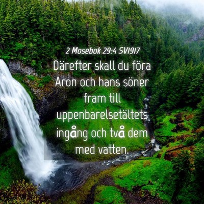 Picture 04 - 2 Mosebok 29:4 SV1917 - Därefter skall du föra Aron och hans söner - Bible Verse Picture