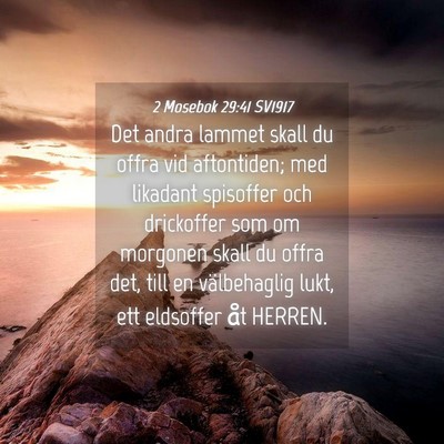 Picture 04 - 2 Mosebok 29:41 SV1917 - Det andra lammet skall du offra vid aftontiden; - Bible Verse Picture
