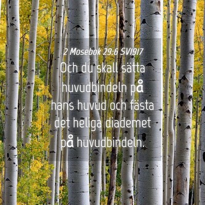 Picture 04 - 2 Mosebok 29:6 SV1917 - Och du skall sätta huvudbindeln på hans huvud - Bible Verse Picture
