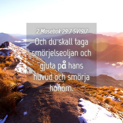 Picture 04 - 2 Mosebok 29:7 SV1917 - Och du skall taga smörjelseoljan och gjuta på - Bible Verse Picture