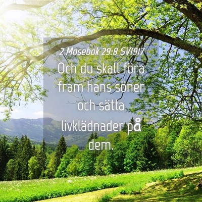 Picture 04 - 2 Mosebok 29:8 SV1917 - Och du skall föra fram hans söner och sätta - Bible Verse Picture