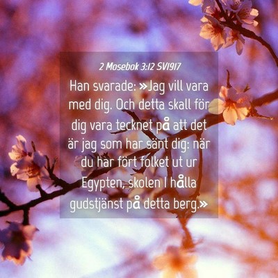 Picture 04 - 2 Mosebok 3:12 SV1917 - Han svarade: »Jag vill vara med dig. Och detta - Bible Verse Picture