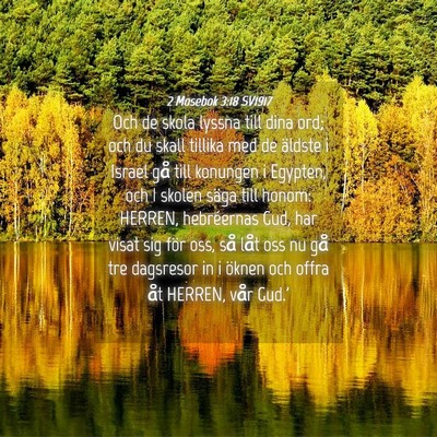 Picture 04 - 2 Mosebok 3:18 SV1917 - Och de skola lyssna till dina ord; och du skall - Bible Verse Picture