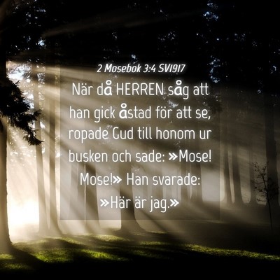 Picture 04 - 2 Mosebok 3:4 SV1917 - När då HERREN såg att han gick åstad för att - Bible Verse Picture