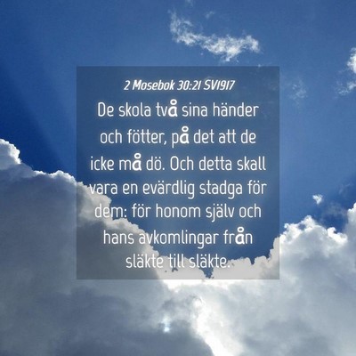 Picture 04 - 2 Mosebok 30:21 SV1917 - De skola två sina händer och fötter, på det - Bible Verse Picture