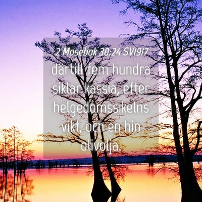 Picture 04 - 2 Mosebok 30:24 SV1917 - därtill fem hundra siklar kassia, efter - Bible Verse Picture