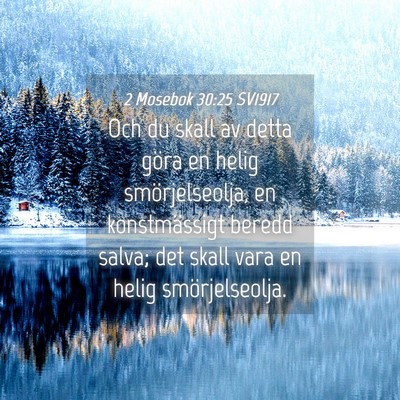 Picture 04 - 2 Mosebok 30:25 SV1917 - Och du skall av detta göra en helig - Bible Verse Picture