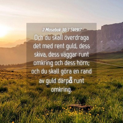 Picture 04 - 2 Mosebok 30:3 SV1917 - Och du skall överdraga det med rent guld, dess - Bible Verse Picture