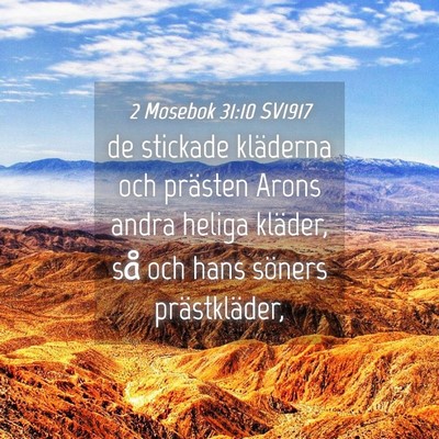 Picture 04 - 2 Mosebok 31:10 SV1917 - de stickade kläderna och prästen Arons andra - Bible Verse Picture