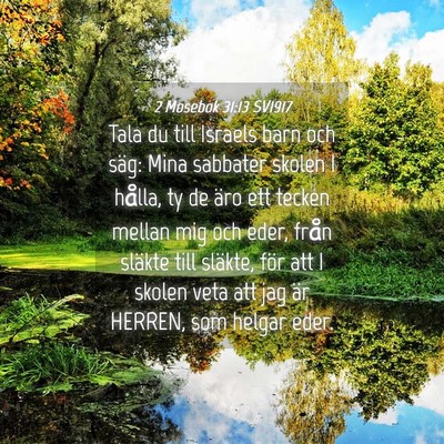 Picture 04 - 2 Mosebok 31:13 SV1917 - Tala du till Israels barn och säg: Mina sabbater - Bible Verse Picture