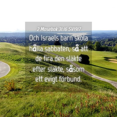 Picture 04 - 2 Mosebok 31:16 SV1917 - Och Israels barn skola hålla sabbaten, så att - Bible Verse Picture