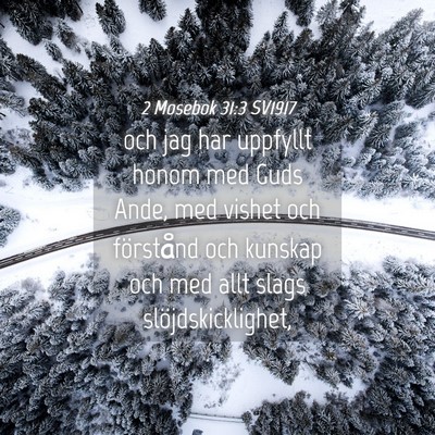 Picture 04 - 2 Mosebok 31:3 SV1917 - och jag har uppfyllt honom med Guds Ande, med - Bible Verse Picture