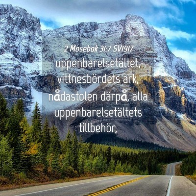 Picture 04 - 2 Mosebok 31:7 SV1917 - uppenbarelsetältet, vittnesbördets ark, - Bible Verse Picture