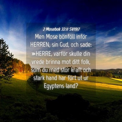 Picture 04 - 2 Mosebok 32:11 SV1917 - Men Mose bönföll inför HERREN, sin Gud, och - Bible Verse Picture