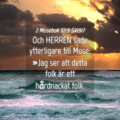 Picture 04 - 2 Mosebok 32:9 SV1917 - Och HERREN sade ytterligare till Mose: »Jag ser - Bible Verse Picture
