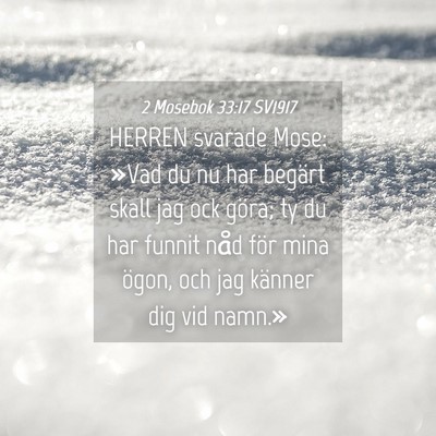 Picture 04 - 2 Mosebok 33:17 SV1917 - HERREN svarade Mose: »Vad du nu har begärt - Bible Verse Picture