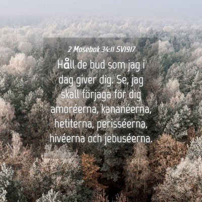 Picture 04 - 2 Mosebok 34:11 SV1917 - Håll de bud som jag i dag giver dig. Se, jag - Bible Verse Picture