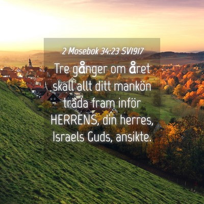Picture 04 - 2 Mosebok 34:23 SV1917 - Tre gånger om året skall allt ditt mankön - Bible Verse Picture