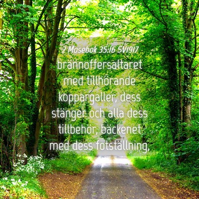 Picture 04 - 2 Mosebok 35:16 SV1917 - brännoffersaltaret med tillhörande - Bible Verse Picture