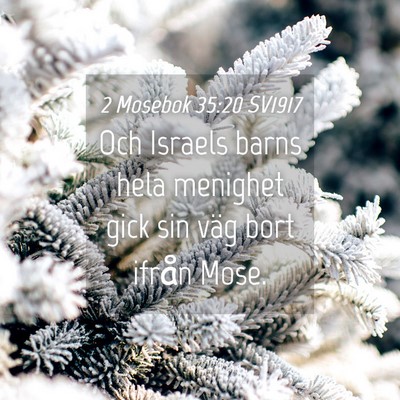 Picture 04 - 2 Mosebok 35:20 SV1917 - Och Israels barns hela menighet gick sin väg - Bible Verse Picture