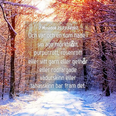 Picture 04 - 2 Mosebok 35:23 SV1917 - Och var och en som hade i sin ägo mörkblått, - Bible Verse Picture