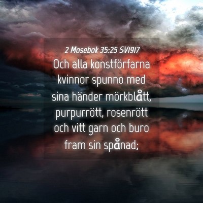 Picture 04 - 2 Mosebok 35:25 SV1917 - Och alla konstförfarna kvinnor spunno med sina - Bible Verse Picture
