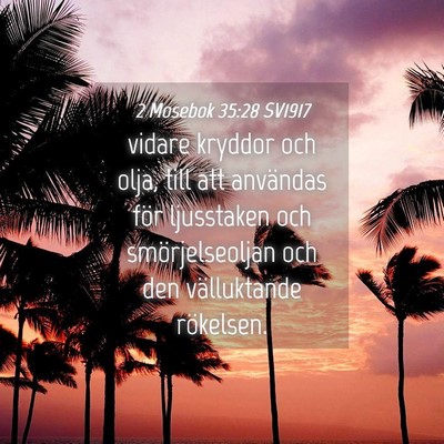 Picture 04 - 2 Mosebok 35:28 SV1917 - vidare kryddor och olja, till att användas för - Bible Verse Picture
