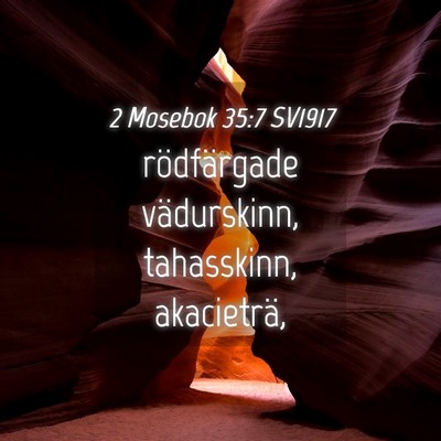 Picture 04 - 2 Mosebok 35:7 SV1917 - rödfärgade vädurskinn, tahasskinn, - Bible Verse Picture