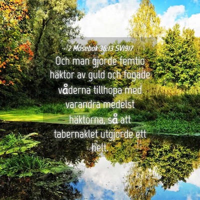 Picture 04 - 2 Mosebok 36:13 SV1917 - Och man gjorde femtio häktor av guld och fogade - Bible Verse Picture