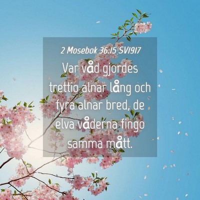 Picture 04 - 2 Mosebok 36:15 SV1917 - Var våd gjordes trettio alnar lång och fyra - Bible Verse Picture
