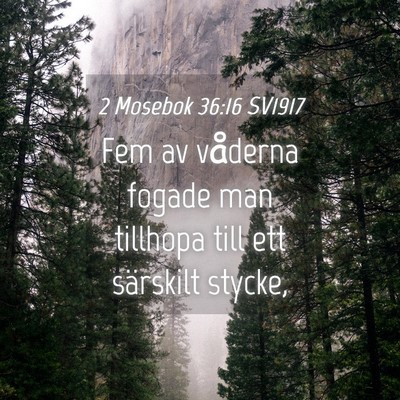 Picture 04 - 2 Mosebok 36:16 SV1917 - Fem av våderna fogade man tillhopa till ett - Bible Verse Picture